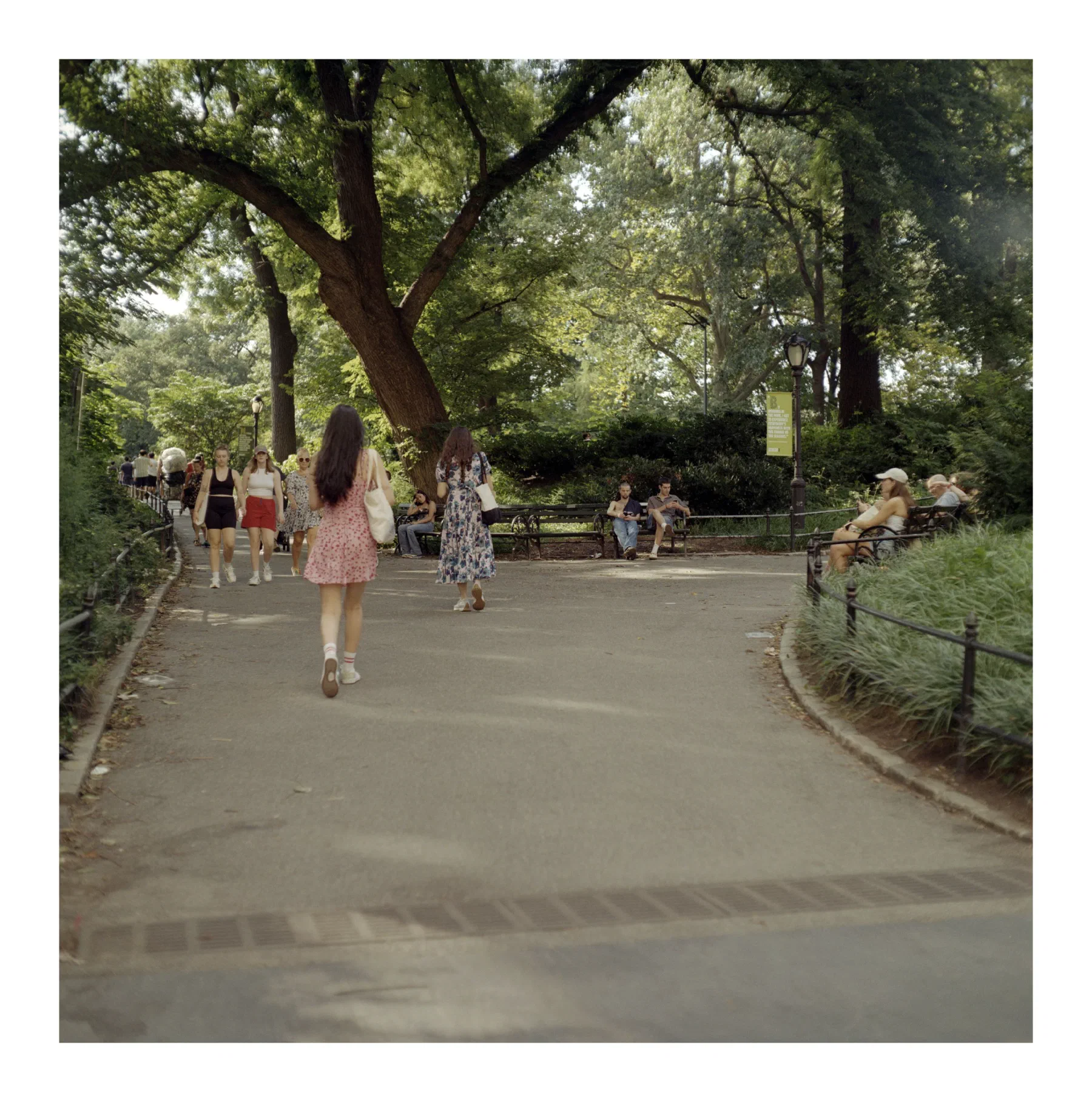 NYC Summer 2024: Part 1 4