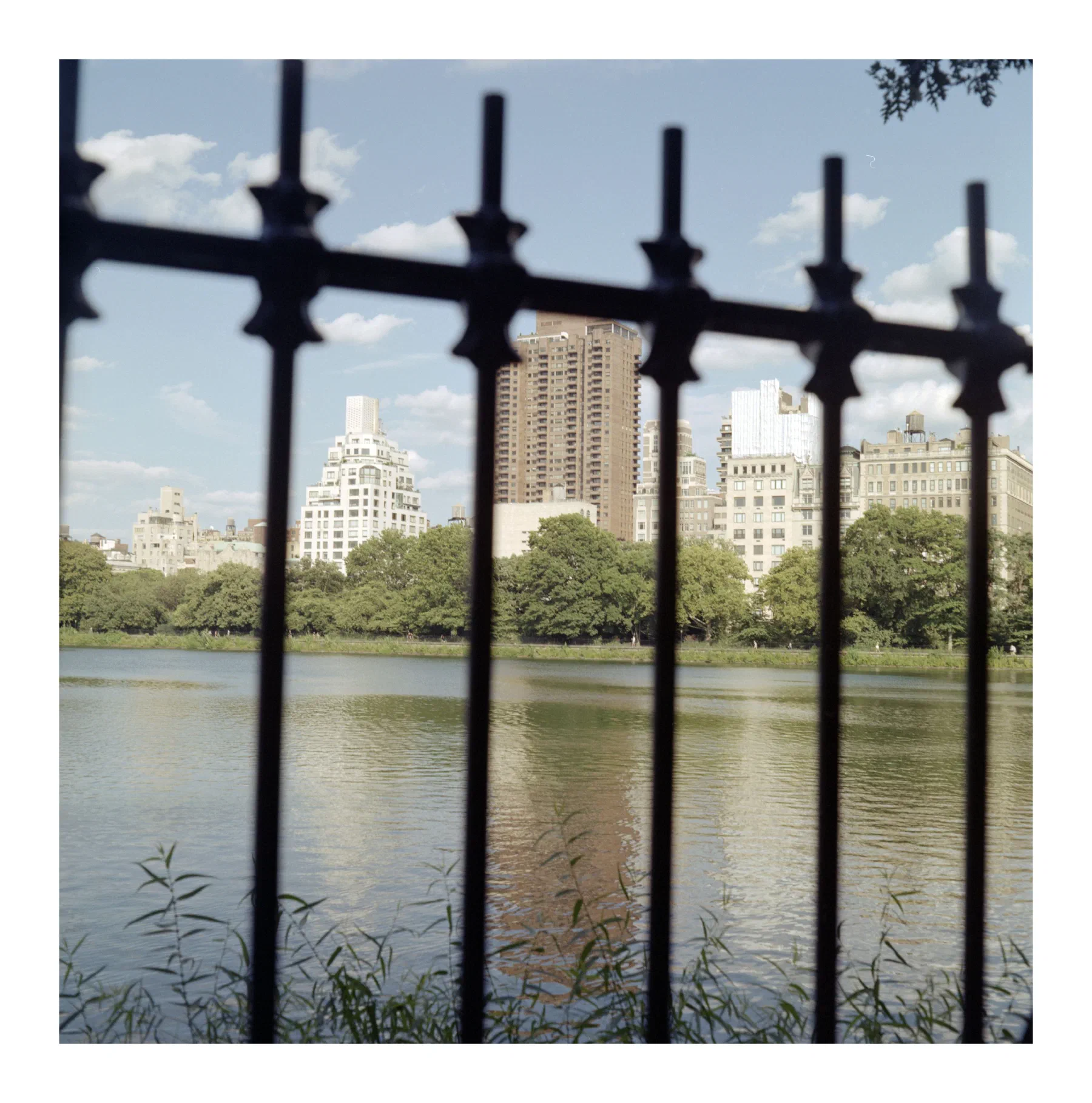 NYC Summer 2024: Part 1 8