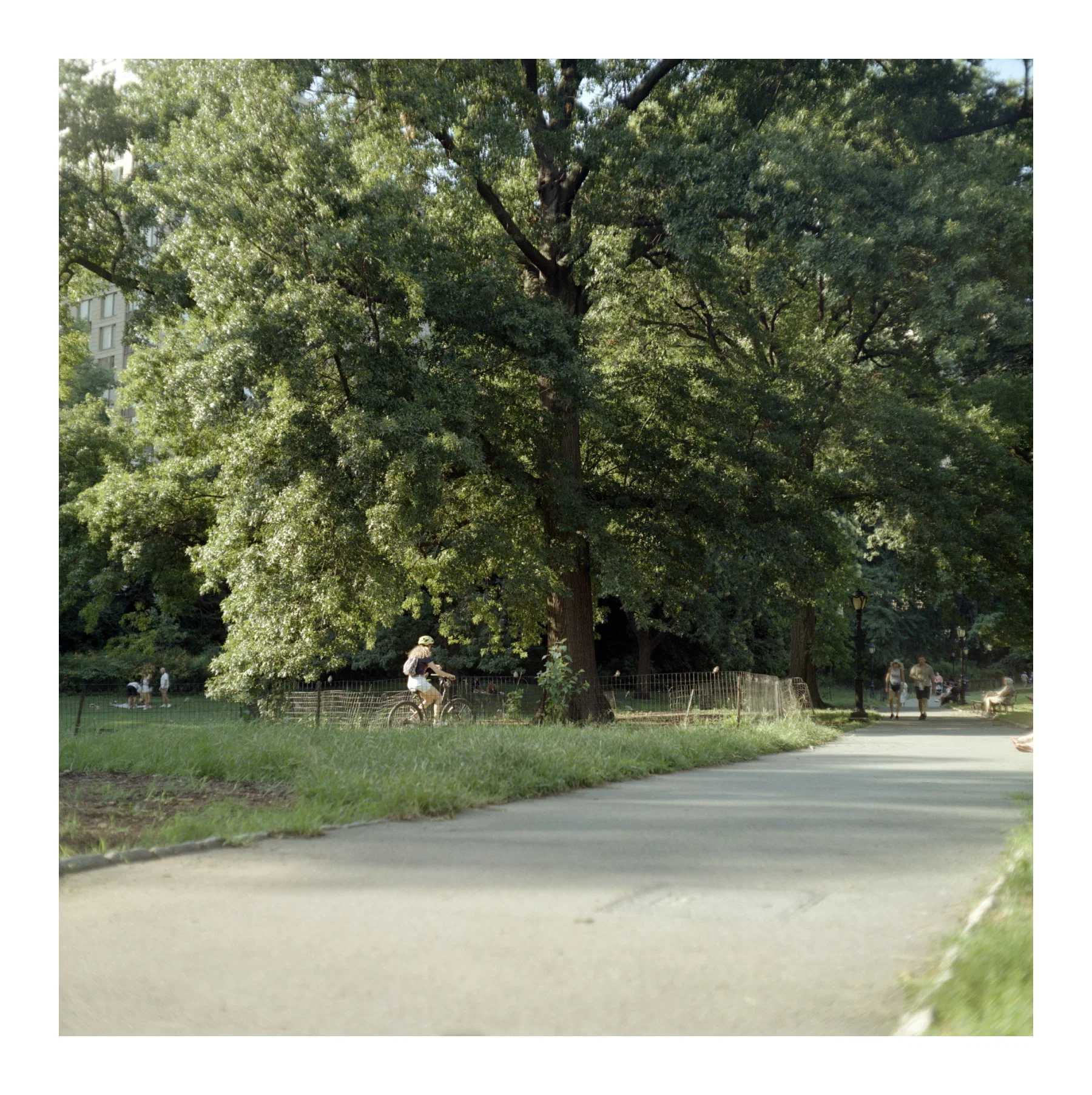 NYC Summer 2024: Part 1 10