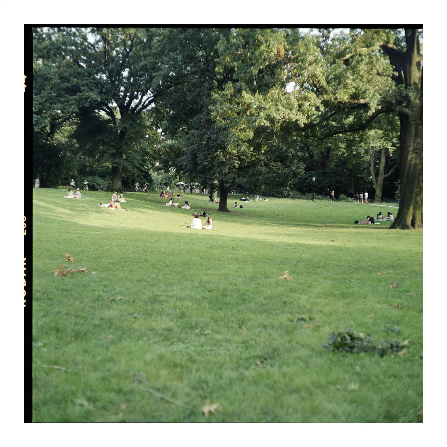 NYC Summer 2024: Part 1 13