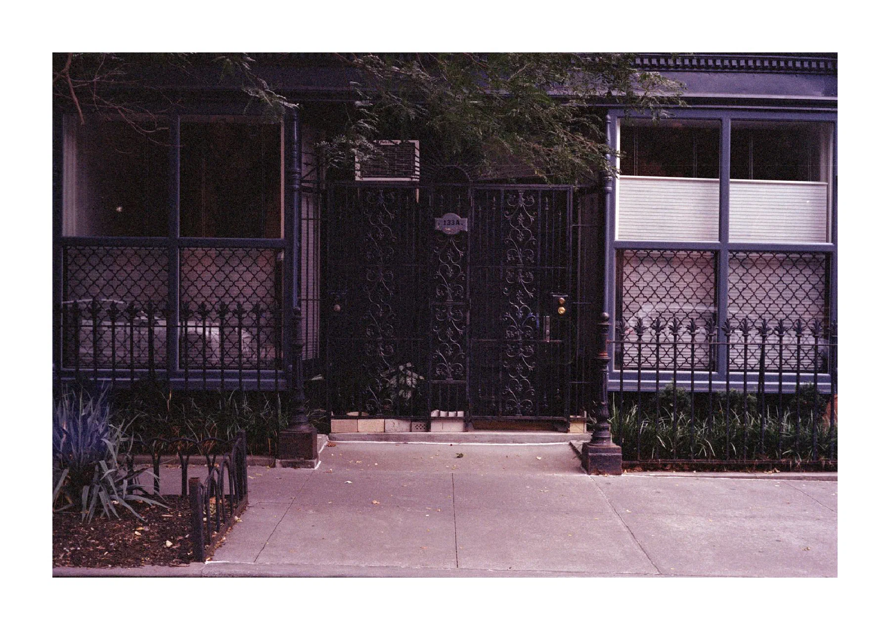 NYC Summer 2024: Part 2 13