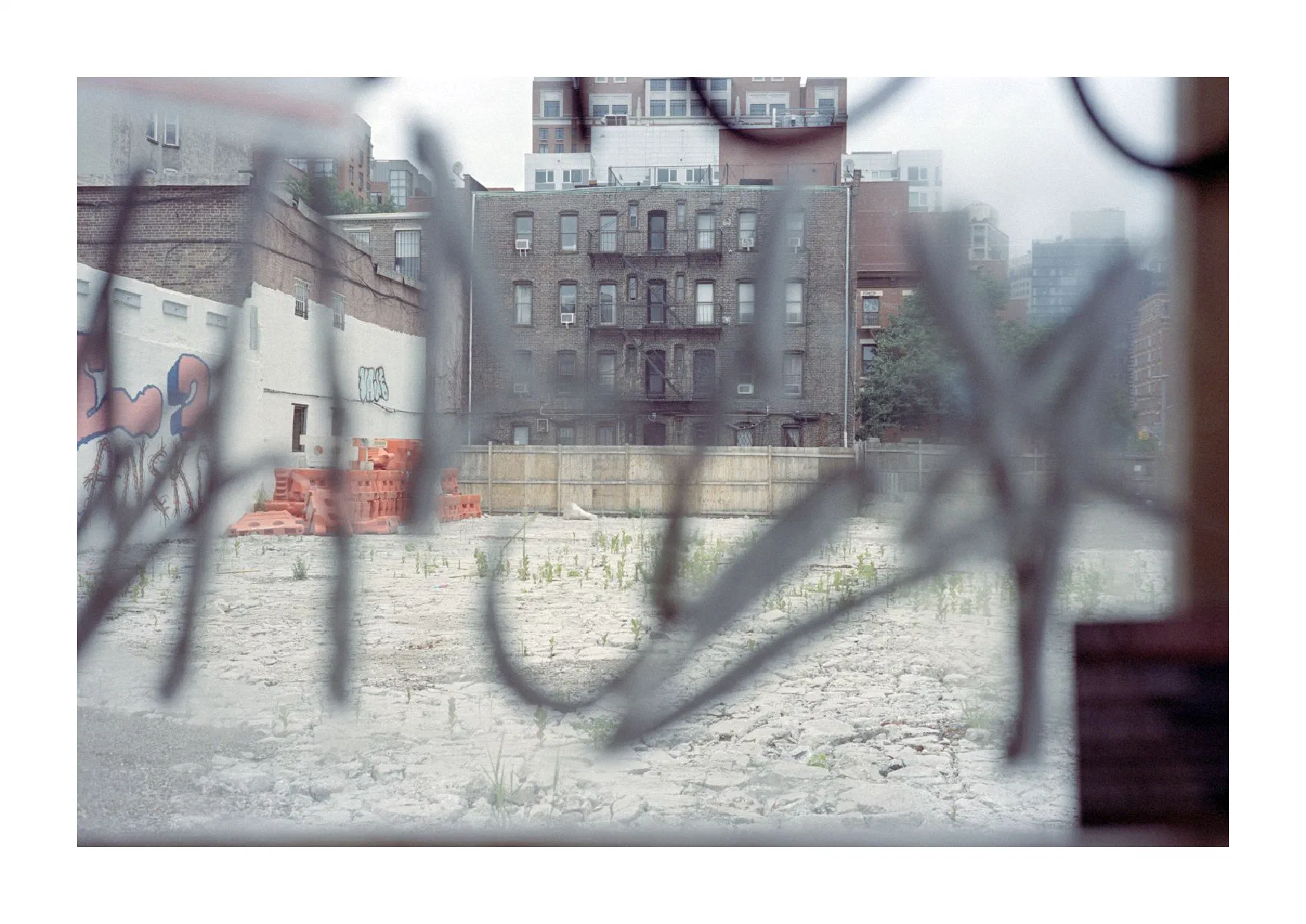 NYC Summer 2024: Part 2 14