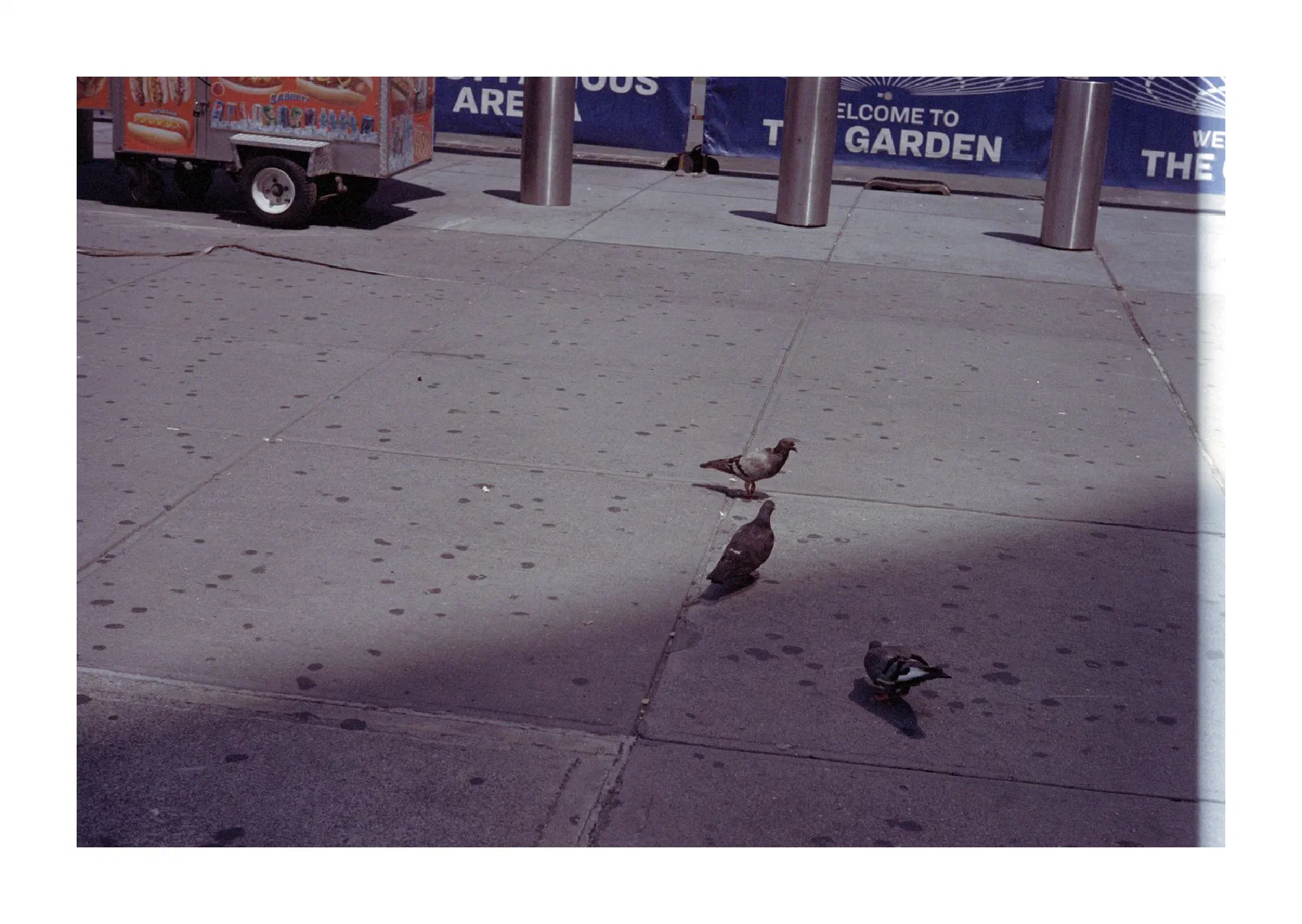 NYC Summer 2024: Part 3 2