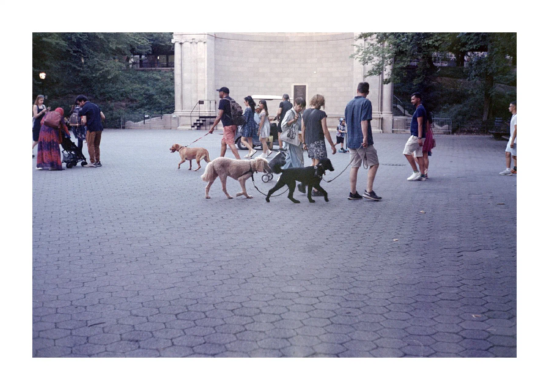 NYC Summer 2024: Part 5 33